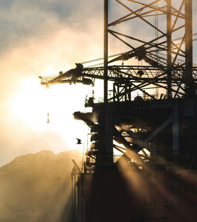 pexels photo 1716008